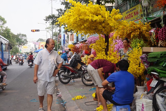 TPHCM: Hoa cảnh làm từ vải 'đổ bộ' xuống phố ảnh 1
