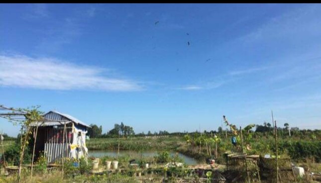 Nông trại dược liệu của Dư ảnh 2
