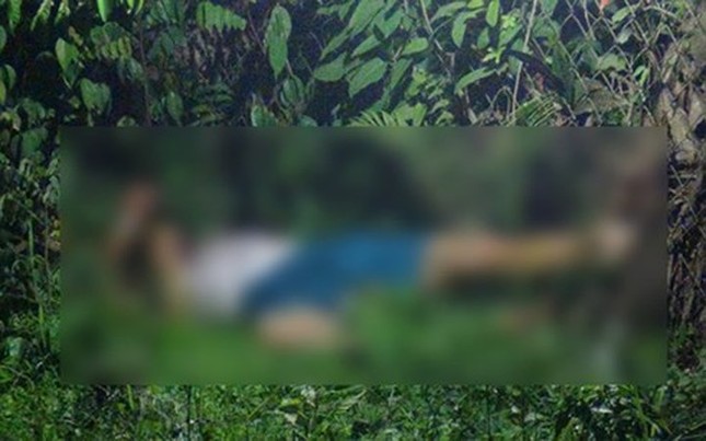 Chặt đầu hàng xóm vì đi vào đất vườn không xin phép ảnh 2