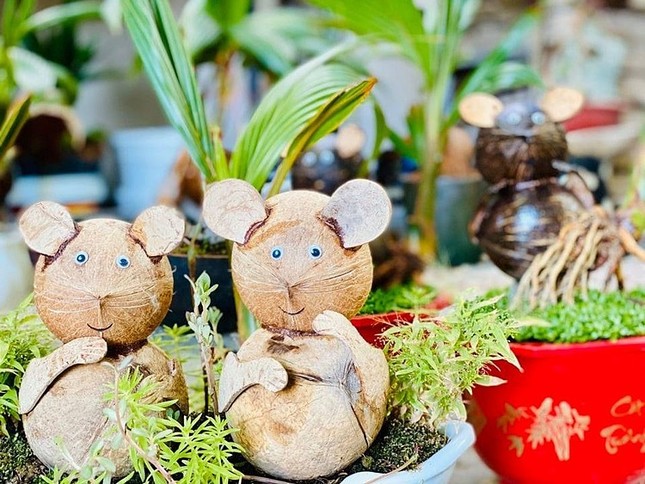Dừa bonsai hình chuột đắt khách ảnh 1