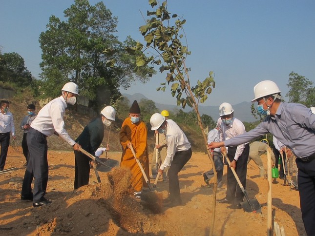 EVN khởi động chiến dịch trồng 1 triệu cây xanh cho Việt Nam ảnh 1