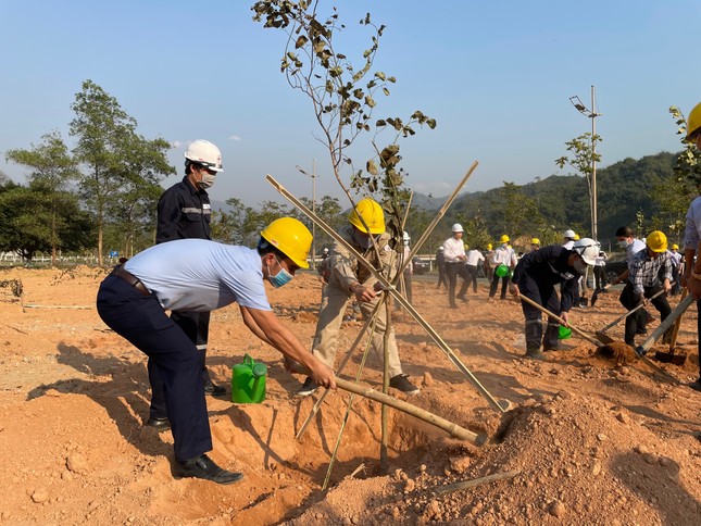 EVN khởi động chiến dịch trồng 1 triệu cây xanh cho Việt Nam ảnh 2