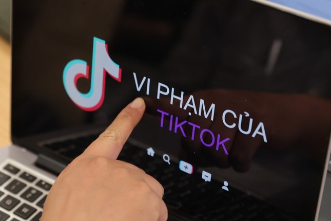 Công bố kết quả kiểm tra toàn diện TikTok ảnh 1