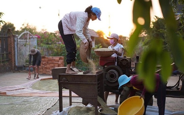 Giãn cách xã hội dài ngày, sao Việt rủ nhau về quê làm "nông dân" như thật ảnh 4