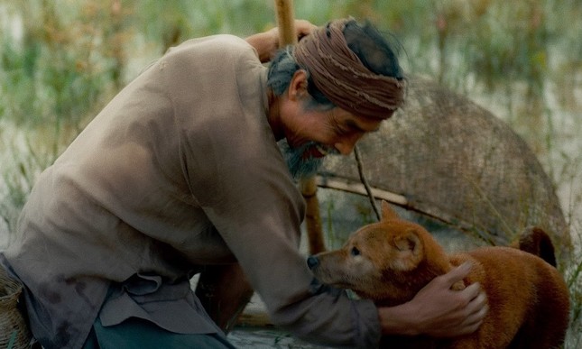 Còn chưa công chiếu, phim “Cậu vàng” có nguy cơ bị tẩy chay vì chê bai khán giả ảnh 3