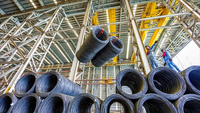 Lý do Tập đoàn Kido bị phạt ảnh 1