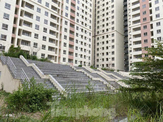 Xót xa chục ngàn căn hộ tái định cư bỏ không lãng phí ở Sài Gòn ảnh 3
