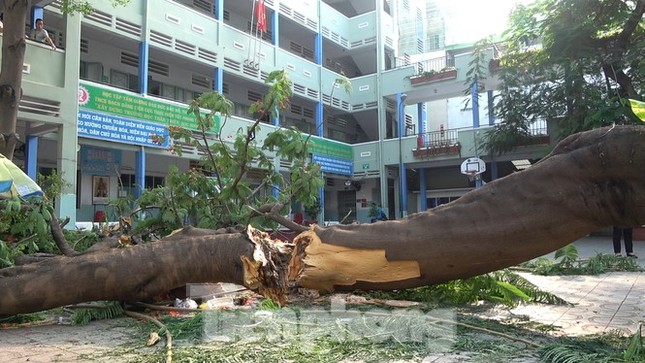 Sức khỏe 2 học sinh bị thương nặng nhất vụ cây đổ trong trường hiện thế nào? ảnh 2