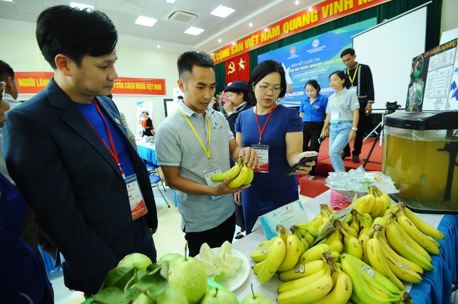 28 dự án tranh tài tại Vòng Bán kết Dự án khởi nghiệp sáng tạo nông thôn 2020 ảnh 2