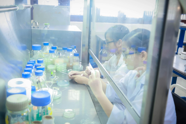 Ngành Bảo vệ thực vật trước xu hướng sản xuất theo hướng bền vững với nông sản an toàn ảnh 2