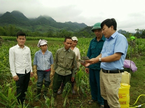 Ngành Bảo vệ thực vật trước xu hướng sản xuất theo hướng bền vững với nông sản an toàn ảnh 1