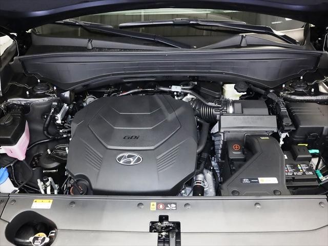 Hyundai Palisade bản đặc biệt lộ ảnh thực tế ảnh 5