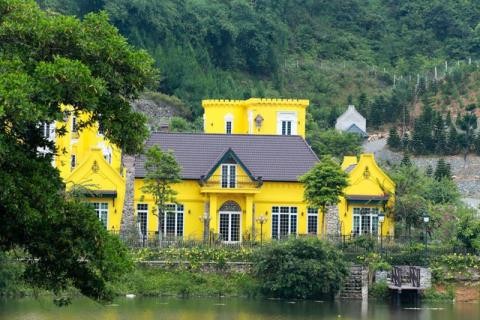 Biệt thự lấn rừng Sóc Sơn chưa xử lý: Vì sao? ảnh 1