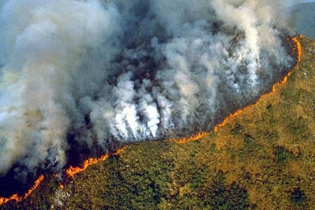 Ước tính, có bao nhiêu vụ cháy rừng đã được ghi nhận ở Brazil trong 8 tháng đầu năm 2019?