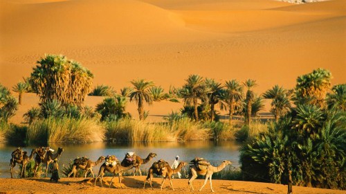 Sa mạc Sahara ở châu lục nào?