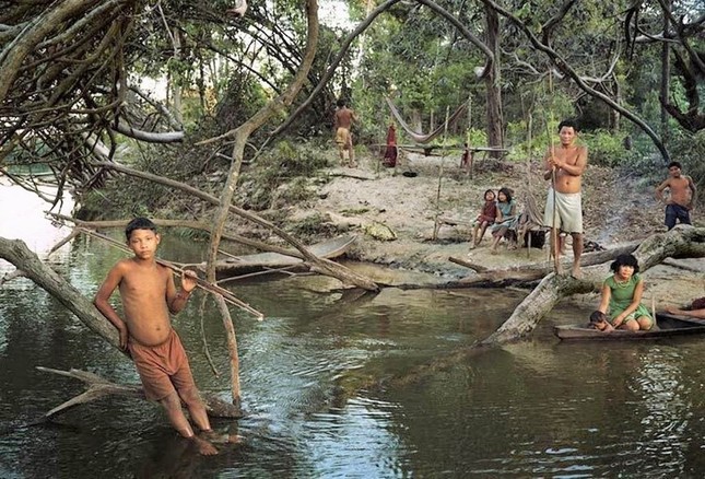 Bộ tộc Pirahã có thể nhớ tên gọi và đặc điểm của hàng nghìn loài động thực vật?