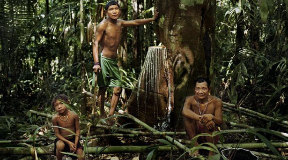 Ngôn ngữ Pirahã có bao nhiêu nguyên âm và phụ âm?