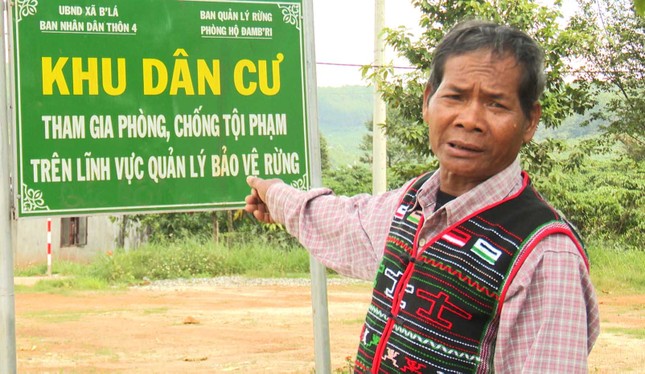 Nhân rộng mô hình bảo vệ rừng của đồng bào dân tộc thiểu số xã B’Lá ảnh 1