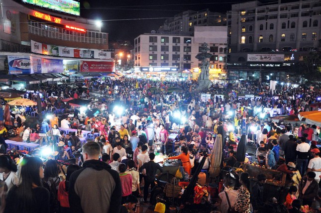 Đà Lạt: Hàng trăm loài hoa trên thế giới sẽ khoe sắc vào đêm ảnh 2