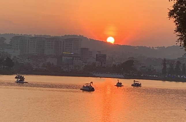 Đà Lạt: Hàng trăm loài hoa trên thế giới sẽ khoe sắc vào đêm ảnh 4
