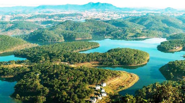 Lâm Đồng cho đấu giá thuê rừng để làm du lịch sinh thái ảnh 2