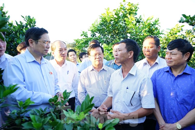 Trưởng ban Tổ chức Trung ương: Phải xử lý pin mặt trời sau khi kết thúc dự án ảnh 2