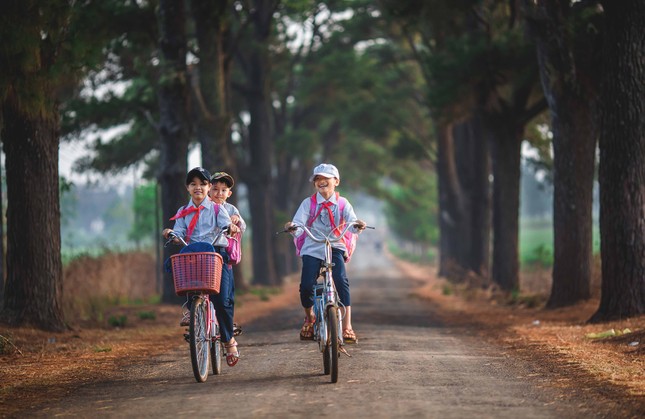 Thảng thốt trước loạt cảnh đẹp quanh phố núi Pleiku ảnh 9