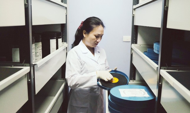 Giải phóng miền Nam từ một góc nhìn khác ảnh 2