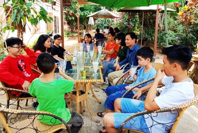 Du xuân với vườn ca cao muôn màu trên Tây Nguyên ảnh 11