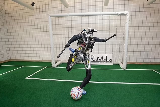 Trọng tài robot sẽ xuất hiện tại Ngoại hạng Anh? ảnh 1