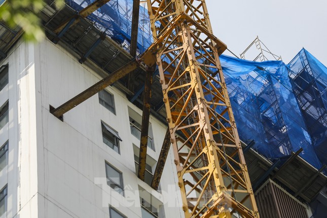 TPHCM cắt ngọn chung cư xây trái phép ảnh 6