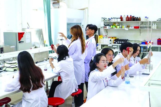 Sứ mệnh y đức ảnh 2