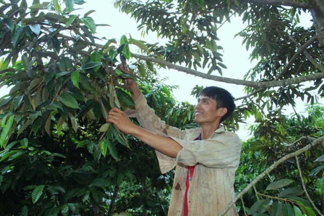 Tây Nguyên: 120 thanh niên tập huấn chuyển giao công nghệ và khởi nghiệp ảnh 2