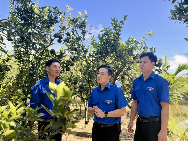 Nhiều đảng viên trẻ Kon Tum xung kích trong phát triển kinh tế ảnh 1
