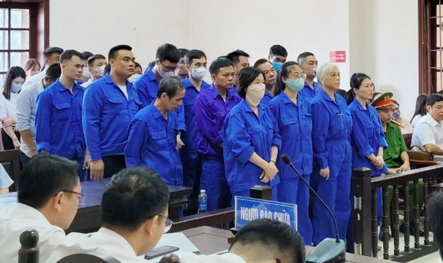 Anh em đại gia lan đột biến bị đề nghị 48 - 72 tháng tù ảnh 3