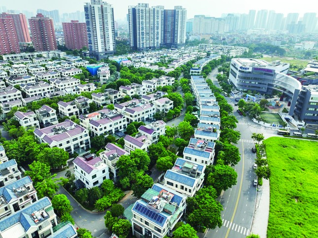 Vực thị trường bất động sản cần tổng lực các giải pháp ảnh 1