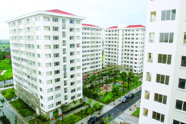Vực thị trường bất động sản cần tổng lực các giải pháp ảnh 2