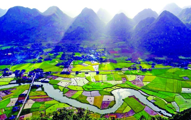 Kỳ lạ rừng nghiến Đông Đằng ảnh 2
