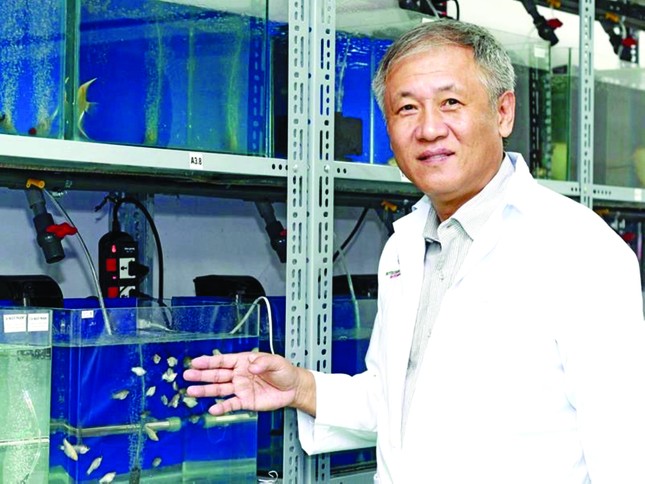 Vị tiến sỹ Việt kiều và chuyện 'chặt cầu qua sông ảnh 1