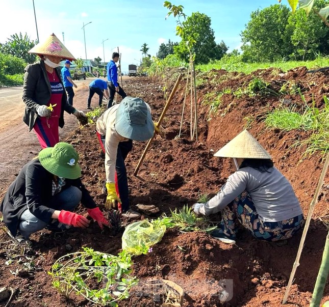 Đoàn thanh niên biến tụ điểm rác thành tuyến đường cây xanh ảnh 6