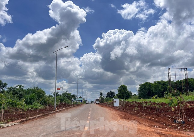 Đoàn thanh niên biến tụ điểm rác thành tuyến đường cây xanh ảnh 4