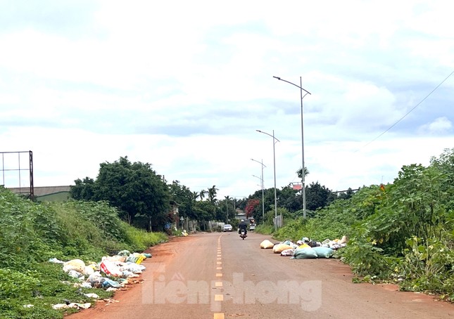 Đoàn thanh niên biến tụ điểm rác thành tuyến đường cây xanh ảnh 2