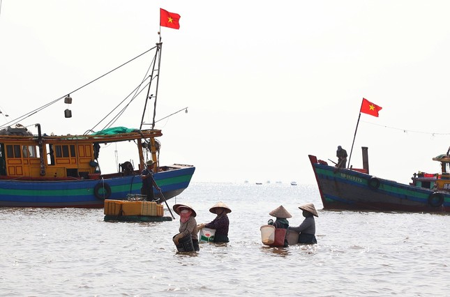 Tấp nập mua bán ở chợ cá Nam Định lúc sáng sớm ảnh 2