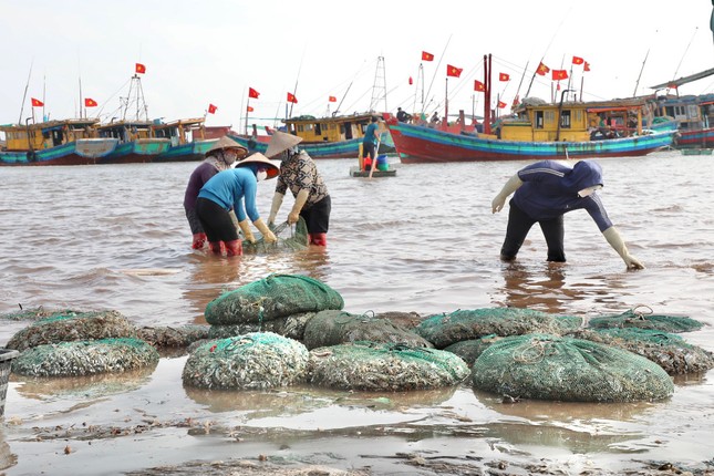 Tấp nập mua bán ở chợ cá Nam Định lúc sáng sớm ảnh 3