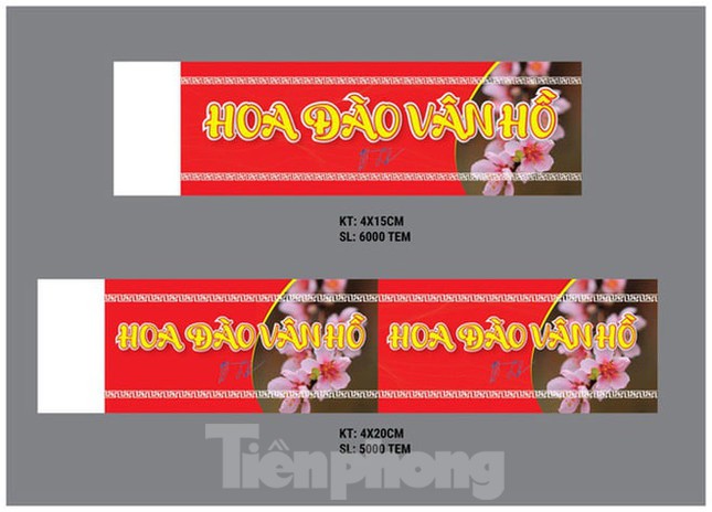 Tem dán cho đào về xuôi của thủ phủ đào rừng Tây Bắc được thiết kế ra sao? ảnh 1