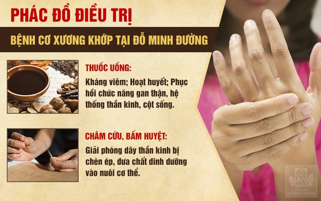 Nhà thuốc nam Đỗ Minh Đường: Nơi giúp NS Xuân Hinh chữa khỏi bệnh xương khớp ảnh 4