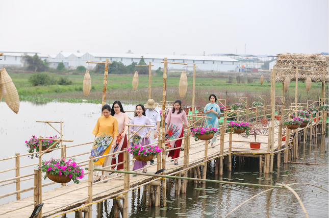 Những con đường khoe sắc hoa xuân nổi bật dịp năm mới ảnh 4
