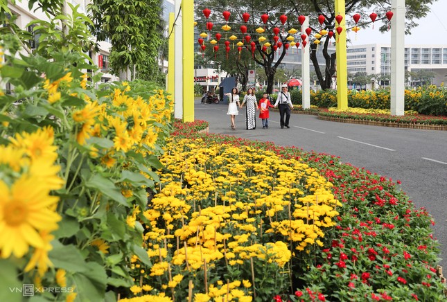 Những con đường khoe sắc hoa xuân nổi bật dịp năm mới ảnh 7