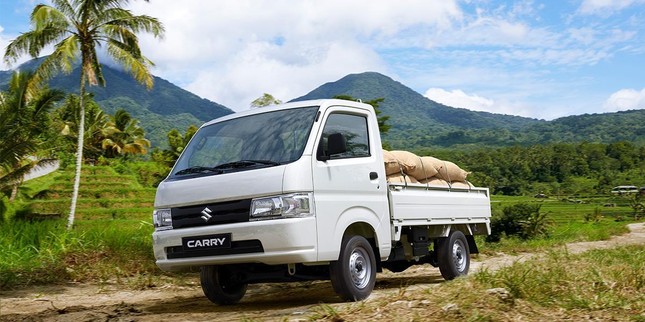 Muôn kiểu ‘khởi nghiệp’ bằng xe tải nhẹ giữa đại dịch Covid-19 ảnh 3