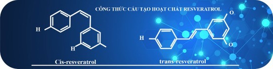 TPBVSK Golden Lypres® sản phẩm vàng, vì sức khỏe cộng đồng ảnh 7